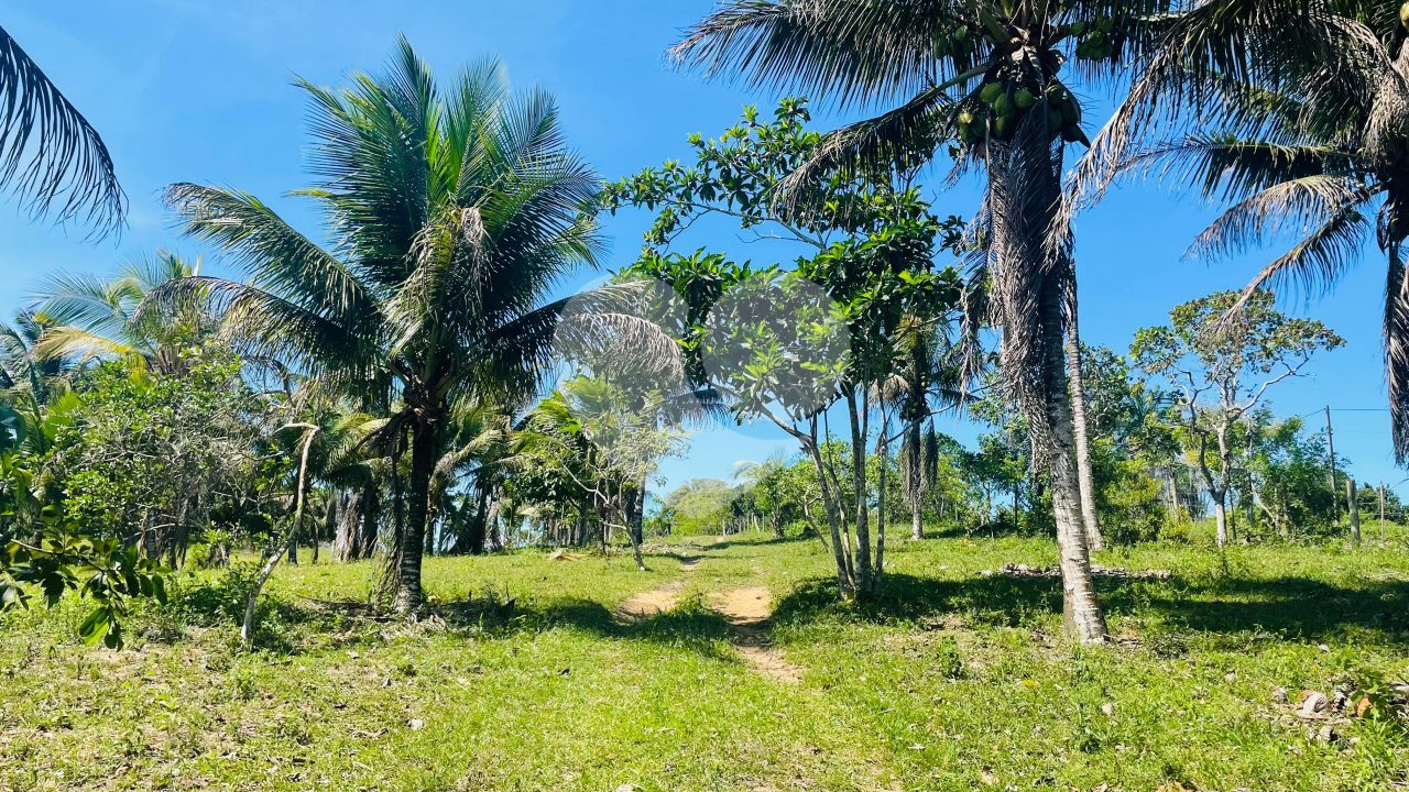 Sítio de 21milm² à venda em Trancoso – BA